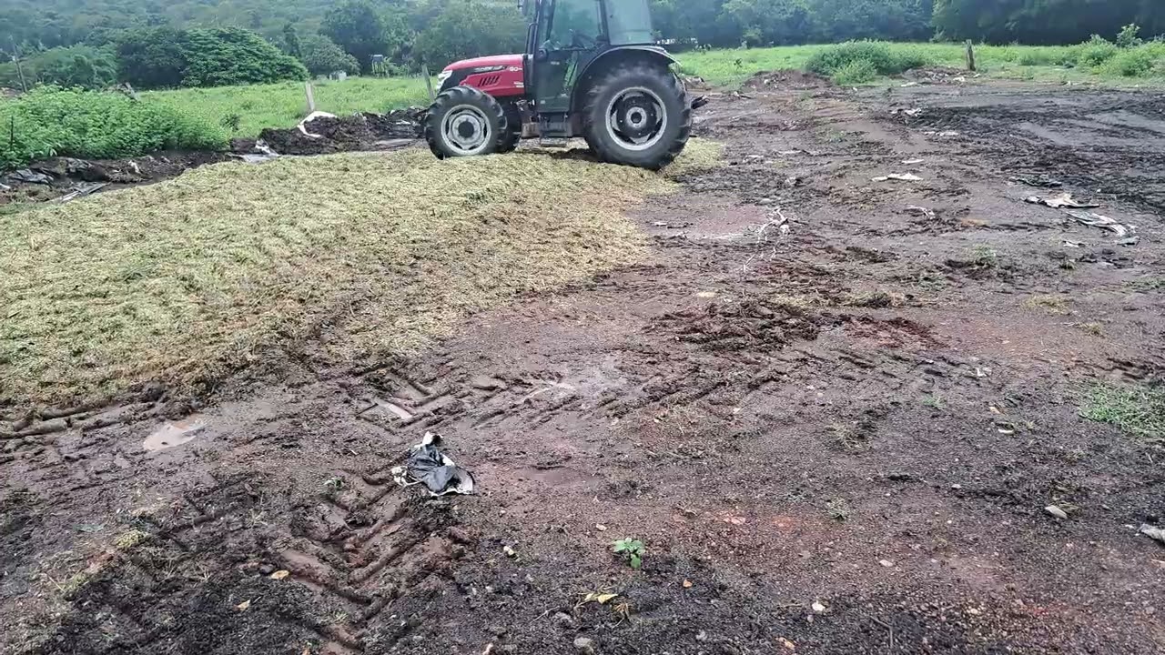 Preparando a colagem pro gado pra tratar na seca 