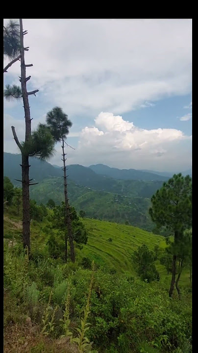 Download lagu Are Re Are Yeh Kya Hua II Whistle II Ringtone II