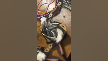 Arduino Breadboard Sensor Breakout Project 😱 #arduino #electronic #physics #coding #programming