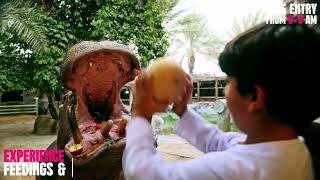 Explore the Wild Wonders at Emirates Park Zoo and Resort