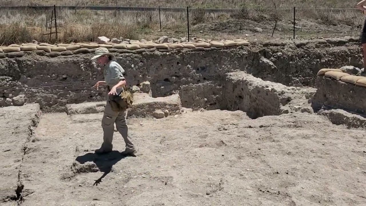 Shimron 2022 Area 94 End of Season Overview