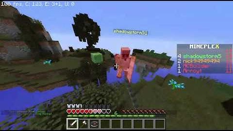 Mineplex Hacker Report - shadowstorm5