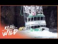 Risking it all: Alaska and the English Channel [Extreme Fishing Documentary] | Real Wild