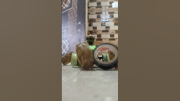 Monster Truck Power 😲 #short #shorts #trending #trend #villa #vlog #video #song #monster #truck