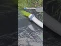 Что делать с бассейном если вода зеленеет❓️ Научим правилам ухода за #бассейн ом 89662501488