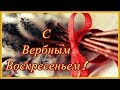 Поздравление с Вербным Воскресеньем