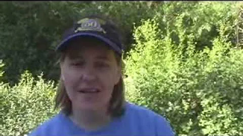 Michelle Hass Recommendation 49er Fun