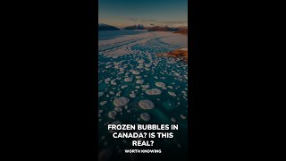 Frozen bubbles in Canada? Is this real?