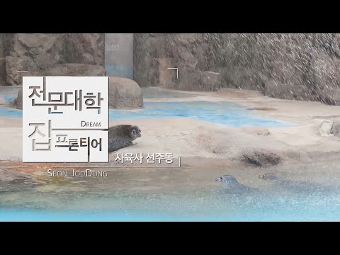 전문대학 잡프론티어 8탄 ㅣ 선주동 사육사