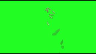 Machine Gun Shells Side  640x480MP4