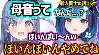 初コラボから煽り合いや下ネタいじりするも最終的に同期になる夜乃くろむと紡木こかげのぶいすぽ新人組が面白すぎたｗ【夜乃くろむ/紡木こかげ/ぶいすぽ】