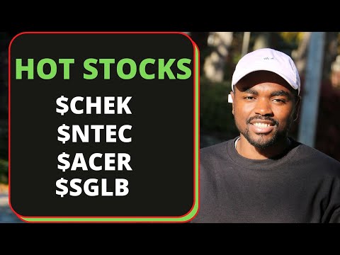 HOT-STOCKS-|-Pre-Market-Gainers---CHEK-stock,-NTEC-s