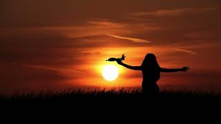 El Momento Perfecto - El Zar