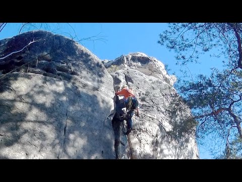 Video: Jak Odstavit Kotě Od Lezení Na Stůl