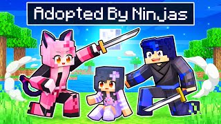 Adopted By NINJAS In Minecraft! screenshot 3