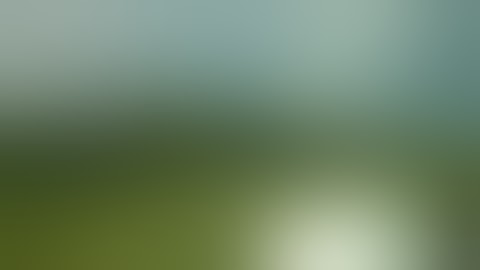 "19" evps from my DVR during the #2 testing cassette recorder EVPs