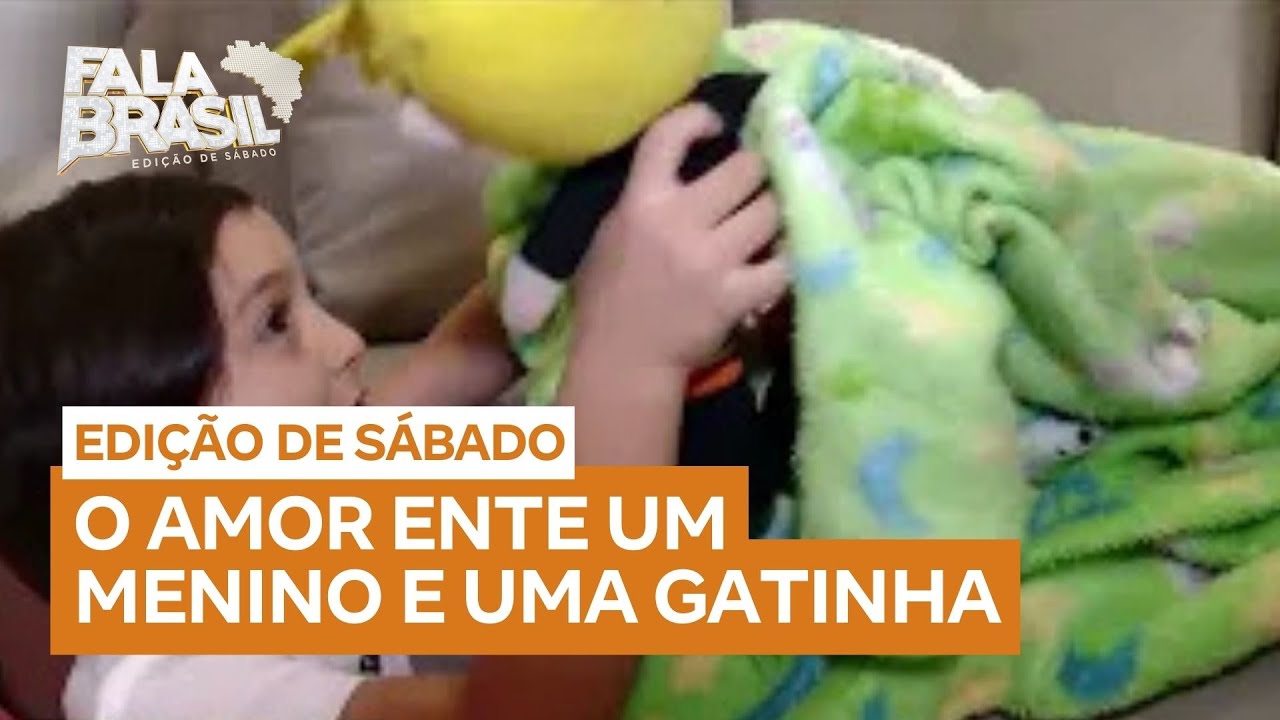 Menino leva gata escondida em viagem de 400 km e convence a mãe a adotá-la