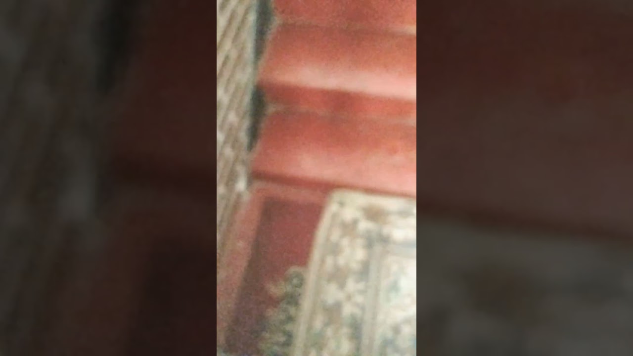 19 апреля 2025 г.