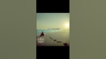 Thumbnail of وائل جسار - مشيت خلاص