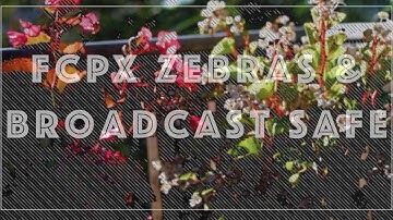 FCPX Zebras and Broadcast Safe