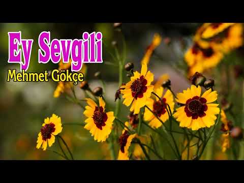 Ey Sevgili - Mehmet Gökçe