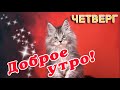 🎺 ДОБРОГО УТРА / ДОБРОЕ УТРО / С ДОБРЫМ УТРОМ / ДОБРОГО УТРА ЛЮБИМОЙ / ПОЗИТИВ / ПОЗИТИВЧИК