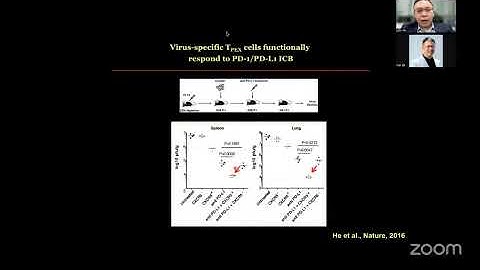 Copy of "CD8+ T Cell Differentiation and Cancer Immunotherapy" by Dr. Lilin Ye