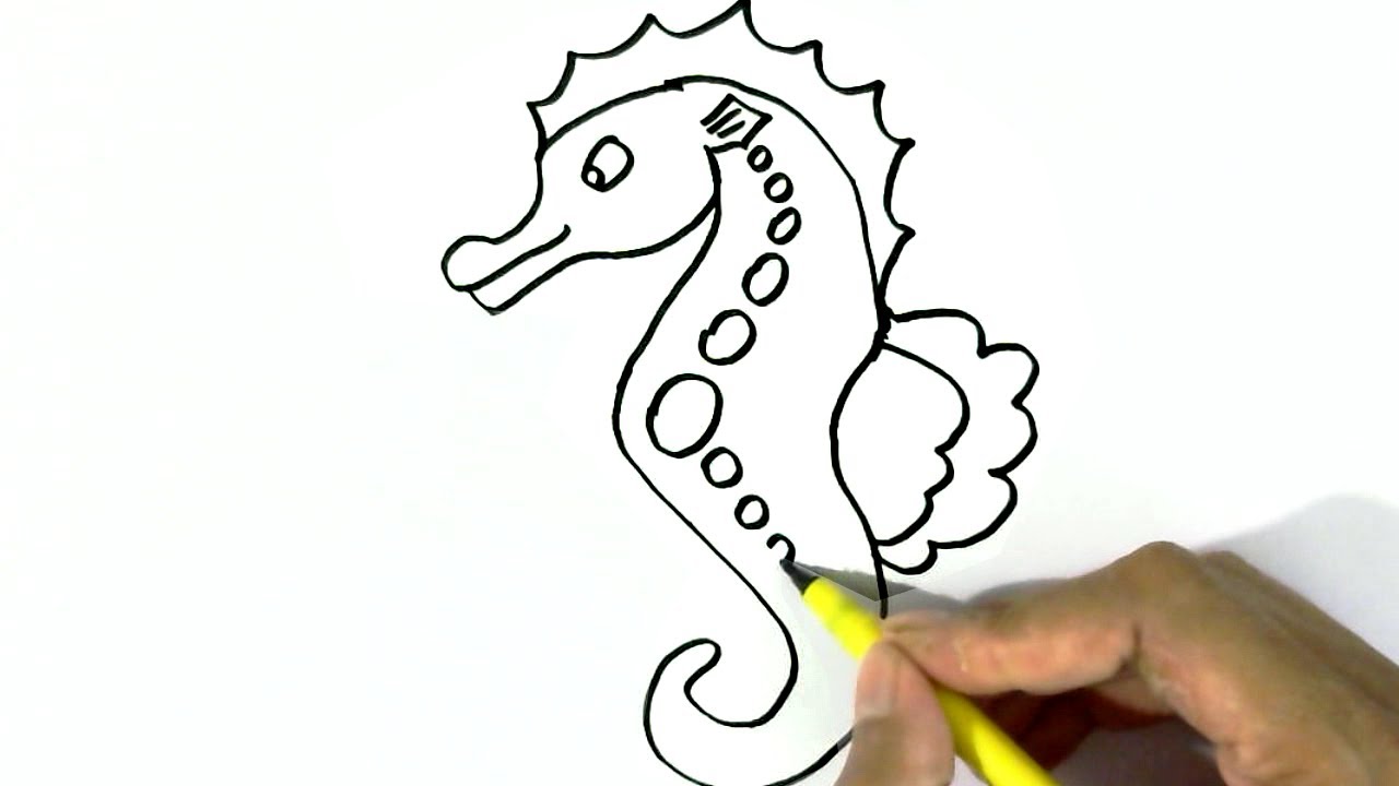 How to draw a Seahorse easy steps for children, kids, beginners - YouTube