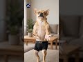 لما الدنيا تيجي عليك بس انت لسه فرفوش 😂😂 ايه الضحك ده 😂😂#ai #dance #viral #funny #comedy