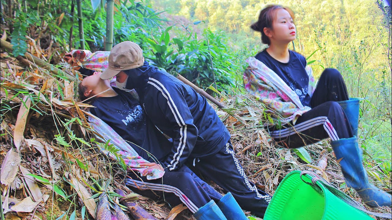The girl went into the forest to find food and was raped by a stranger ...
