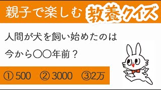 「 人間が犬を飼い始めたのは今から○○年前？ 」大人も知りたい【 小学生なら知っておきたい教養 ＃5】｜kufura [ クフラ ]