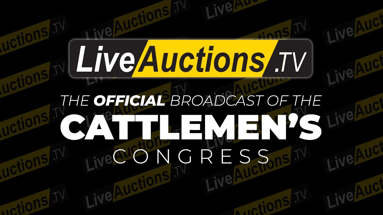 Red Angus Junior Show