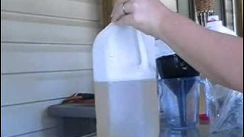 Homemade Fly Trap.