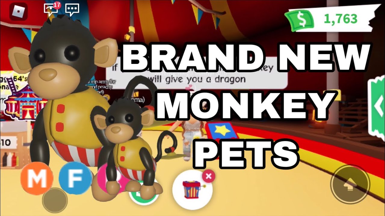 Getting Every New Monkey Pet Roblox Adopt Me Update Izzyrose Roblox Youtube - izzy rose roblox die cut products teespring