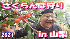 ちゃんやまtv Youtube ちゃんやまtv Youtube