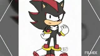 Shadow the hedgehog x amy rose