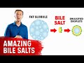 The 9 Benefits of Bile Salts