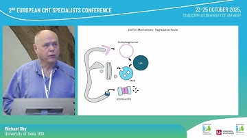 PLENARY 4 | CMT1E: Clinical Natural History and Molecular Impact of PMP22 Variants | Michael Shy