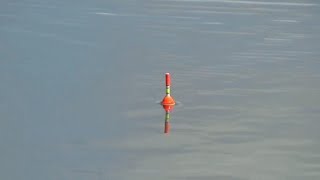 TARIKANNYA MANTAP, STORY WA MANCING