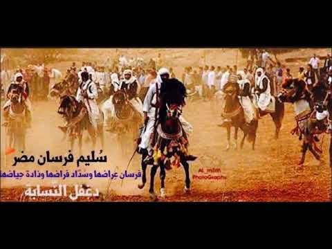 نسابة الحرابي تتصدى لسماسرة الأنساب بالحمض النووي 