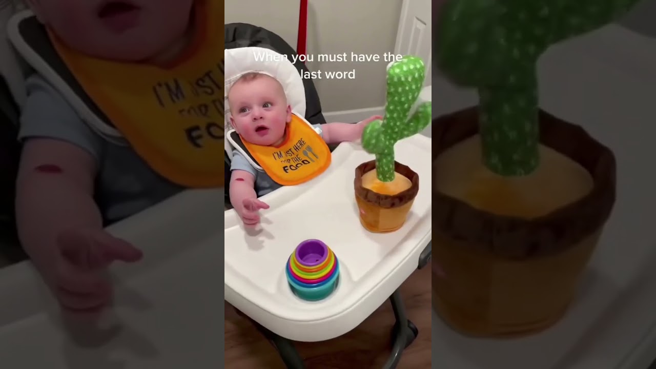 Rechargeable Dancing Cactus Talk-Back Baby Toy