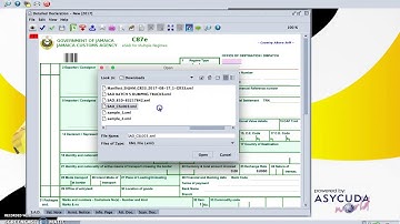 ASYCUDA World - Declaration Pro - part 2