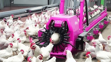 Amazing Machines Operating At An INSANE LEVEL – You Have To See It To Believe It!😲😱