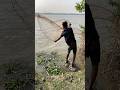 Catch fish in rivar by casnet fishing#castnetfishing #fishingdaily #vairalvideo