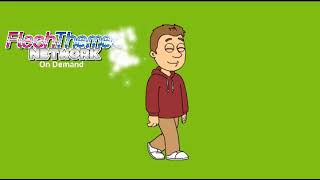 FlashThemes Network On Demand Footage (Mid June)