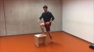 FMS: Stride Stretch with rotation