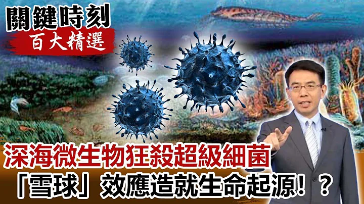 深海微生物狂殺超級細菌！？寒武紀大爆發！「雪球」效應造就生命起源！？【關鍵時刻百大精選】-劉寶傑 黃創夏 - 天天要聞