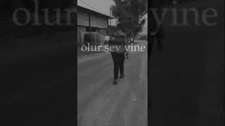 Hadi Sar Bani Resimi