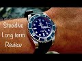 SteelDive SD1953 Long Term Review