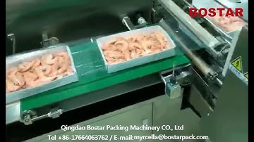 Frozen Shrimp with Pallet Shrink Packing Machine Made in China^_^